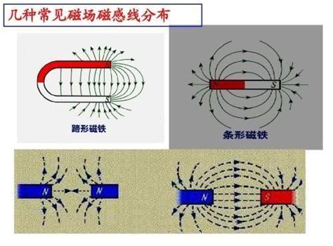 磁場圖|U091